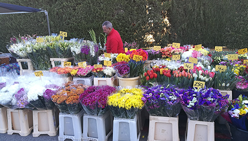 Blomster til salgs på markedet i La Mata