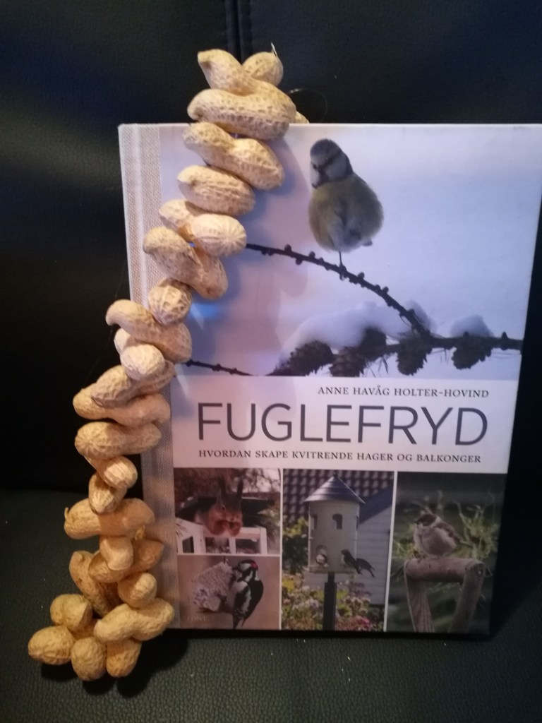 Peanøttkrans etter oppskrift fra Fuglefryd av Anne H. Holter-Hovind