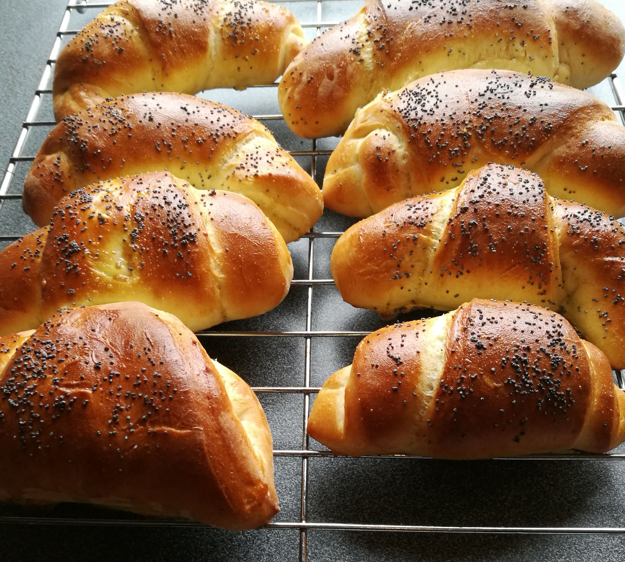 Nybakte horn med valmuefrø