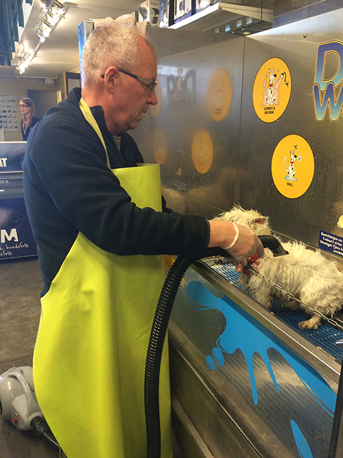 John måtte vaske hundene, mens jeg ryddet resten