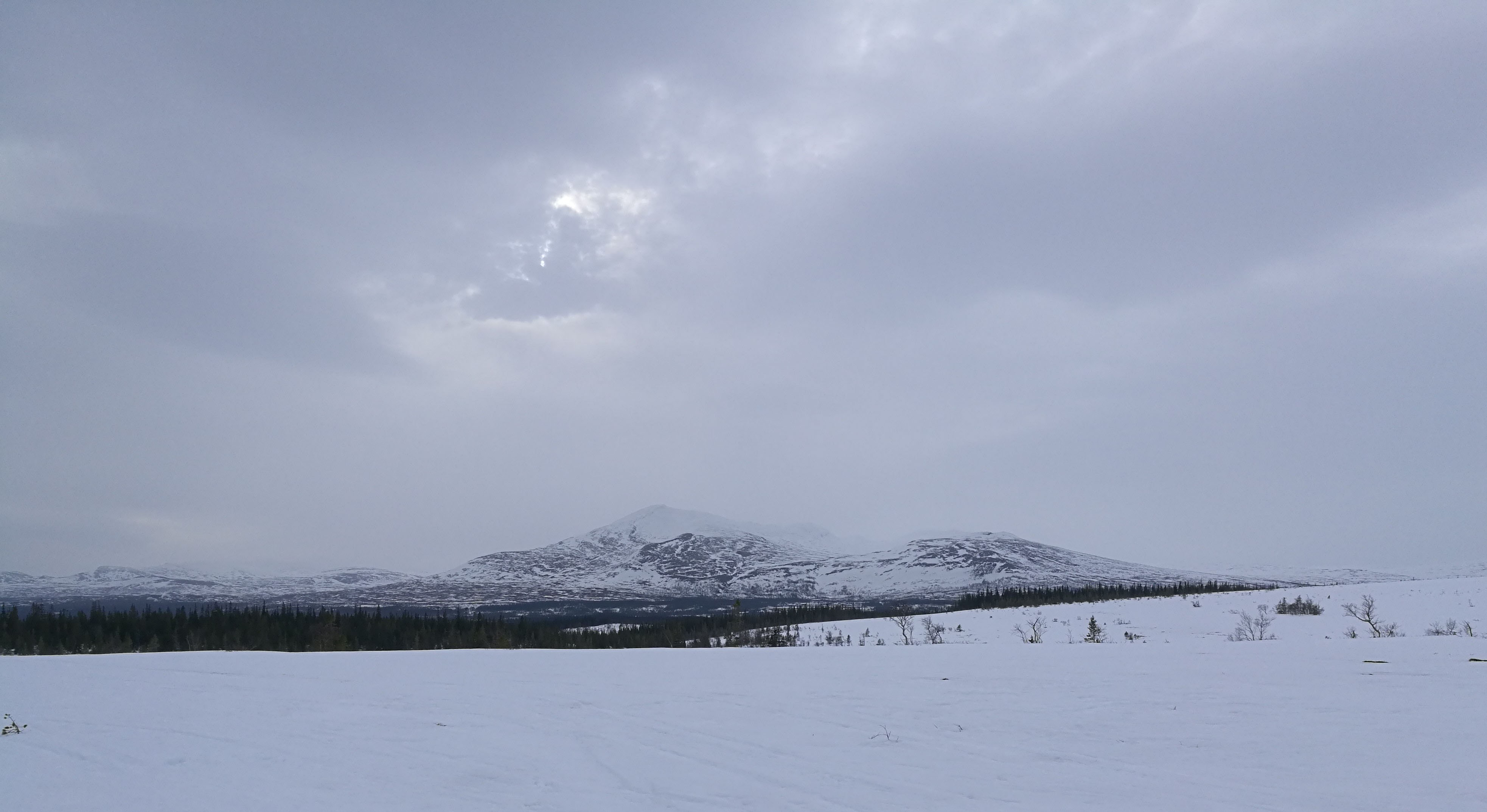 Snasen sett fra Rensjøen