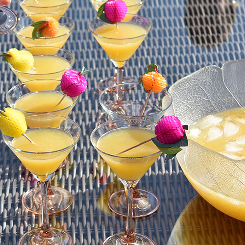 Velkomstdrink (alkoholfri) Ingredienser: 1 Sitron (saft) 1 l Appelsinjuice 1 l Eplejuice ½ l Brus med sitronsmak Isbiter