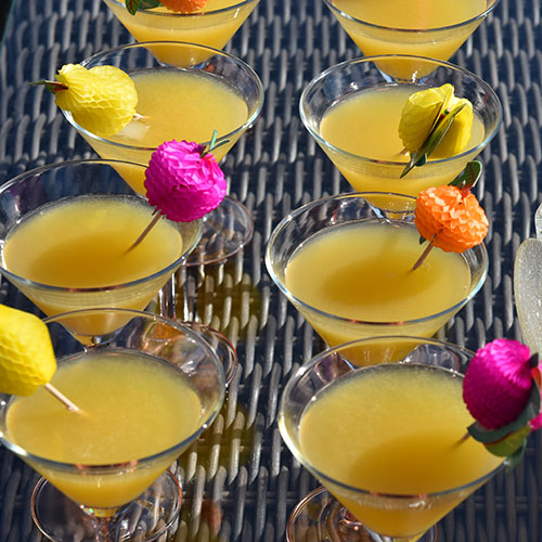 Velkomstdrink (alkoholfri) Ingredienser: 1 Sitron (saft) 1 l Appelsinjuice 1 l Eplejuice ½ l Brus med sitronsmak Isbiter