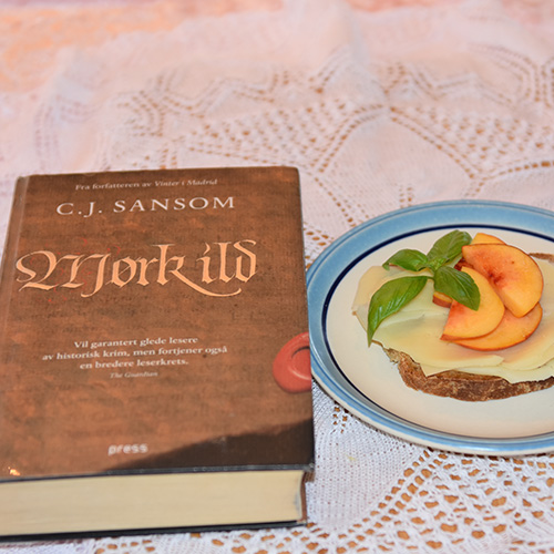 Sansom, C.J. (2009) «Mørk ild». Press