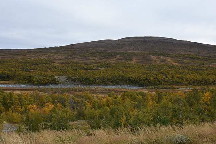 Storulvån, Jämtland, Sverige 20190922