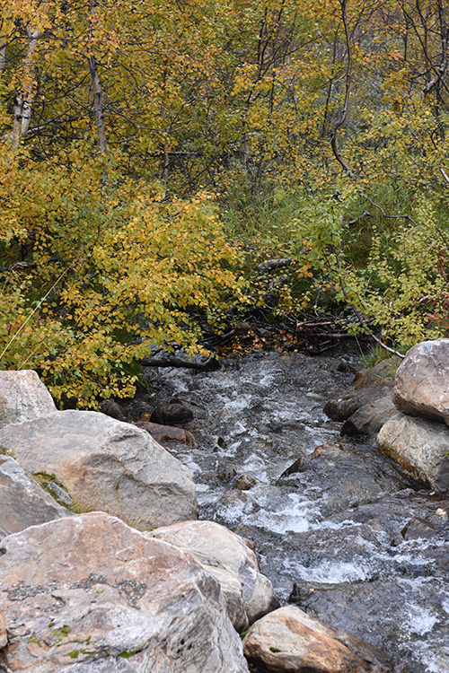 Storulvån, Jämtland, Sverige 20190922