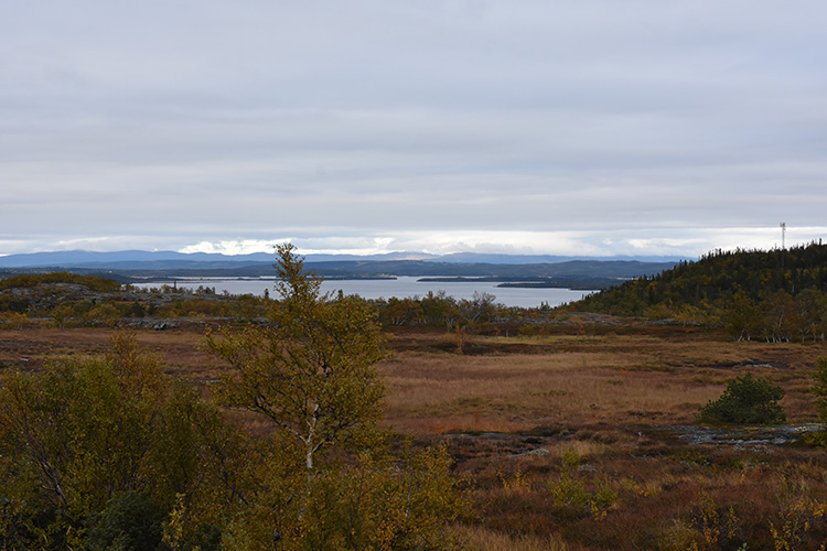 Storulvån, Jämtland, Sverige 20190922