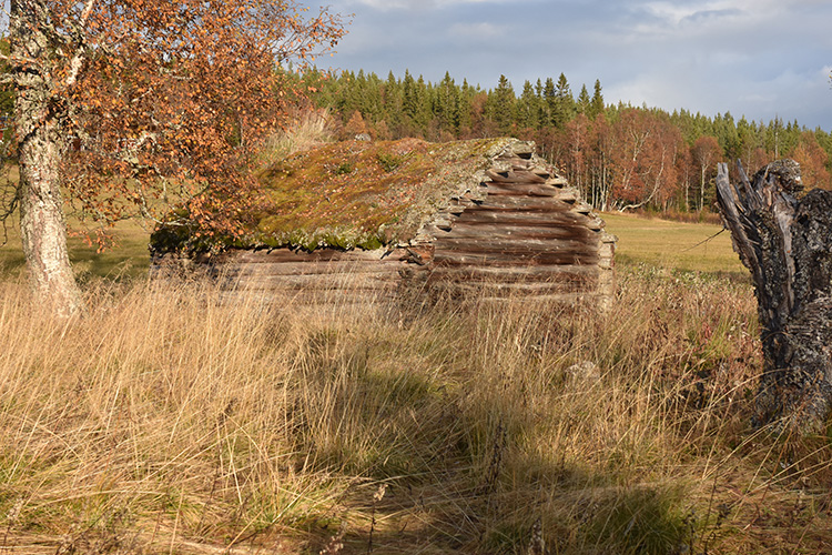 20191013 - Tur ved Ånn sjøen, Ånn, Jämtland, Sverige