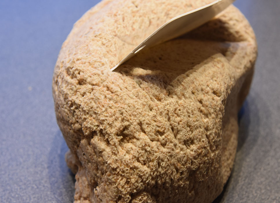 Klibrød Ingredienser: 8 ½ dl Vann (fingervarmt) 1 pk Gjær 1 kg Grovbakstmel (1 pk) 1 ½ dl Sammalt hvete (grov) 1 ½ dl Hvetemel 1 ½ dl Kruskakli (ca. 5 ss) ½ dl Hvetekli (ca. 3 ss) 2 ss Olje (nøytral) 2 ts Sukker 2 ts Salt