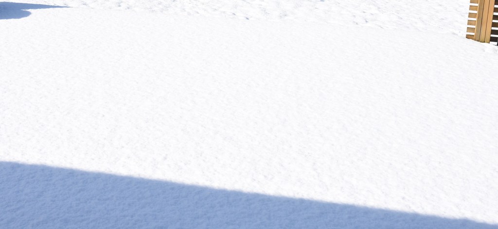 Snø i hagen. MEN SOL 12 mai 2020 Trondheim Trøndelag Norway