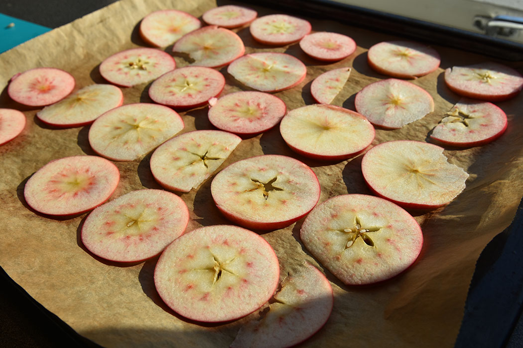 Tørkete epler på den norske eple dagen som er siste tirsdag i september https://heidisboble.no/