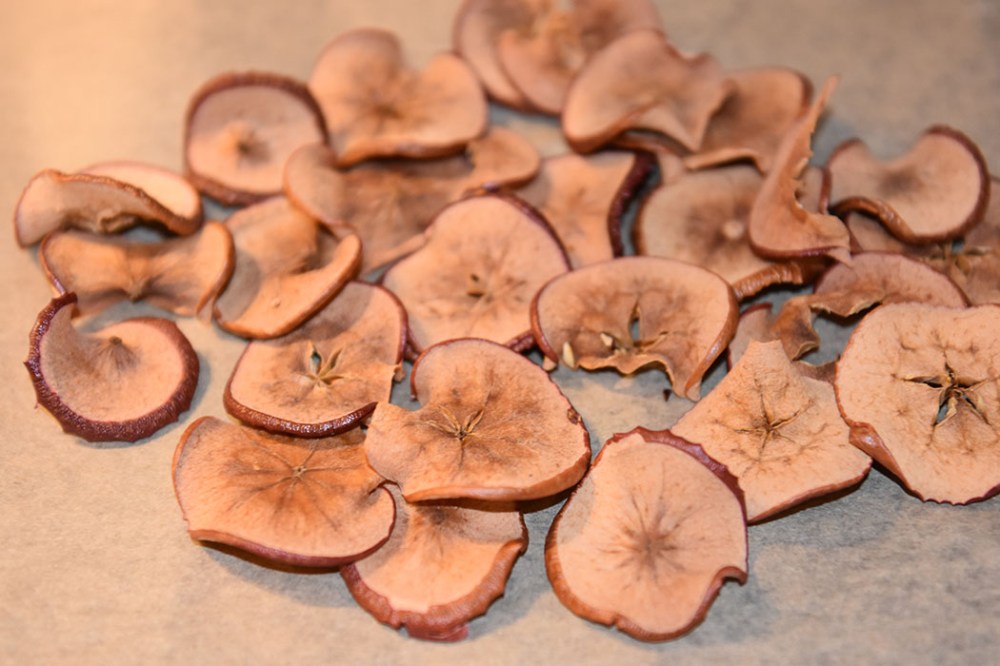 Tørkete epler på den norske eple dagen som er siste tirsdag i september https://heidisboble.no/