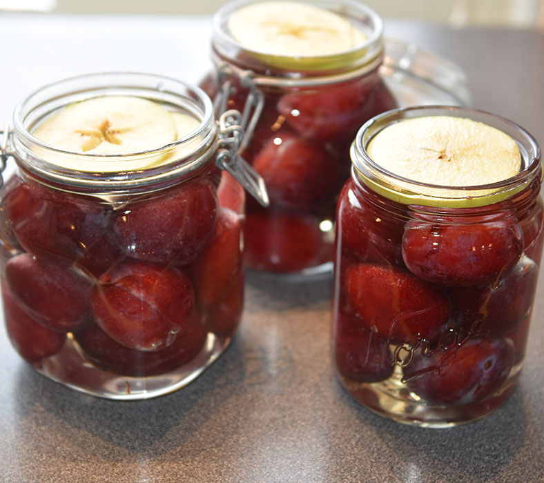 Hermetiske plommer Ingredienser: Plommer Sukkerlake: 10 dl Vann 700 g Sukker ½ ts Askorbinsyre Valgfritt: Epleskiver