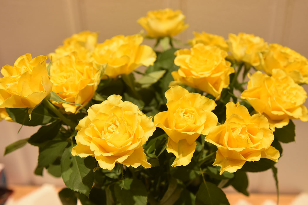 Roser https://heidisboble.no/ @heidisboble