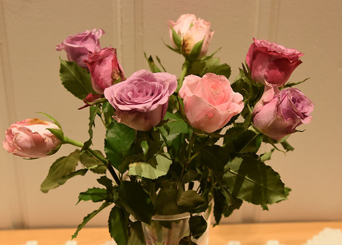 Rosa Roser https://heidisboble.no/ @heidisboble