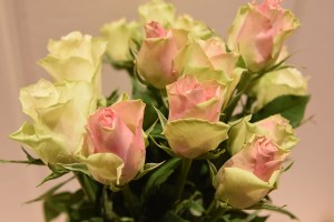 Roser https://heidisboble.no/ @heidisboble