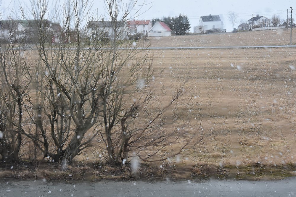 Garten Trøndelag Norge https://heidisboble.no/ @heidisboble