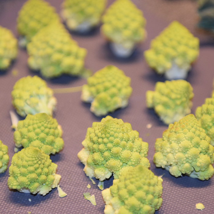 Indrefilet av storfe med selleri rotpuré, romanesco og portvin/ rødvinssaus Ingredienser: 300 g Indrefilet av storfe 4 fedd Hvitløk (knuste) 50 g Smør 1-2 Rosmarinkvister ½ Romanesco (8 topper) 50 g Sopp (shikate) Olje (soya) Smør Salt og pepper Syltet rødløk: 2 Rødløk ½ dl Eddik (eplecider) ½ dl Vann 5 ss Sukker 1 kvist Rosmarin (fersk) Rødvinsaus: 1 Sjalottløk 2 ½ dl Rødvin 2 ½ dl Oksekraft 50 g Smør 1 ts Portvingelé Sellerirot puré: 500 g Sellerirot 5 dl Melk 1 ss Smør Salt Grønnkålchips: 2 stilker Grønnkålstilker 2 ss Olje (soya) ½ ts Salt https://heidisboble.no/ @heidisboble