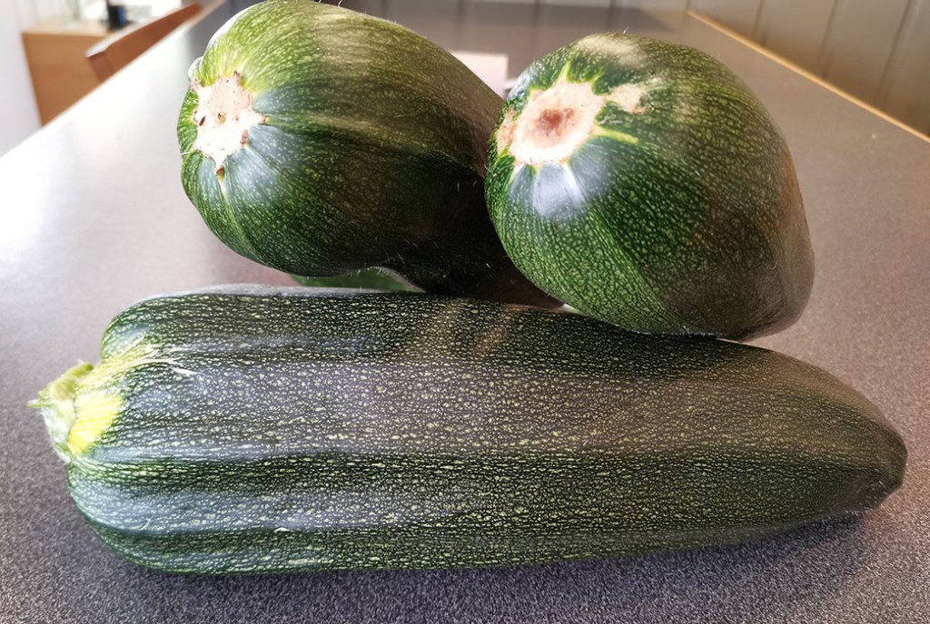 Fylt squash / gratinert squash Ingredienser: 2 Squash (eller en stor) 1 Løk (hakket) 2 fedd Hvitløk (hakket) 1 ss Olje (soya) 400 g Kjøttdeig 1 boks Tomater (hermetiske) 1 Buljongterning (okse) ¼ ts sukker Salt, pepper, basilikum 50 - 75 g Ost (hvit, skivet eller revet) https://heidisboble.no/ @heidisboble