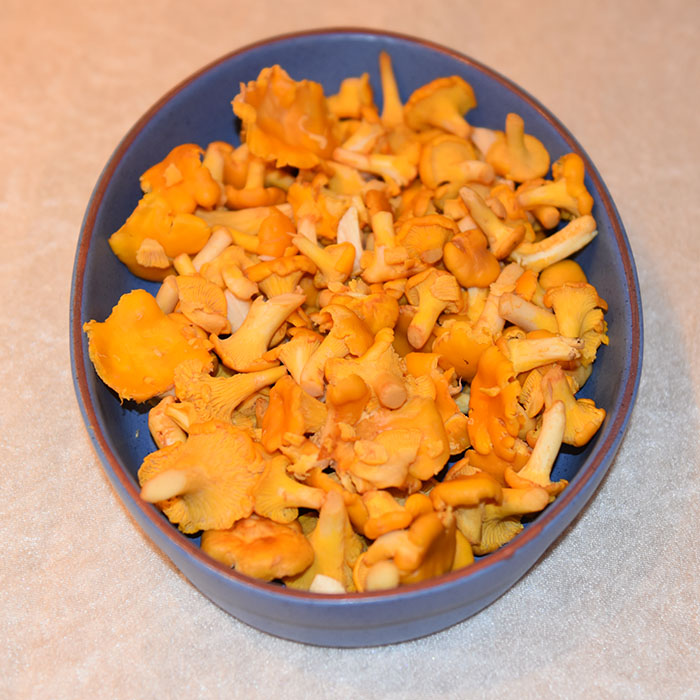 Kantarellblingser / Smørbrød med kantareller / toast med kantarellstuing Ingredienser 300 g Kantareller 2 ss Smør 1 Løk 1 ts Timian (Tørket) ½ ts Pepper (svart) 2 dl Fløte 4 skiver Formloff (for oppskrift - trykk HER) 2 ss Parmesan (revet) 2 ss Persille (hakket) Salt https://heidisboble.no/ @heidisboble