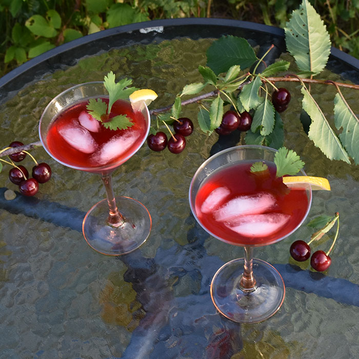 Kirsebærlemonade Cocktail Ingredienser: 5 dl Lemonade 3 ss Kirsebærsirup 0,6 dl Vodka Sirup kirsebær til pynt Isbiter https://heidisboble.no/ @heidisboble