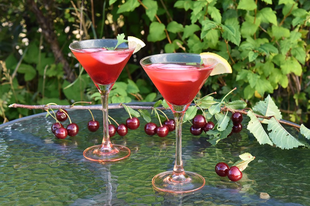 Kirsebærlemonade Cocktail Ingredienser: 5 dl Lemonade 3 ss Kirsebærsirup 0,6 dl Vodka Sirup kirsebær til pynt Isbiter https://heidisboble.no/ @heidisboble