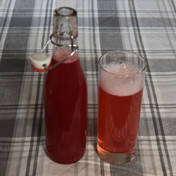 Ripssaft Ingredienser: 1 kg Rips (godt modne) 2 dl Vann 300- 500 g Sukker (pr. liter saft) 1 krm Natriumbensoat (pr. liter saft - Valgfritt) https://heidisboble.no/ @heidisboble