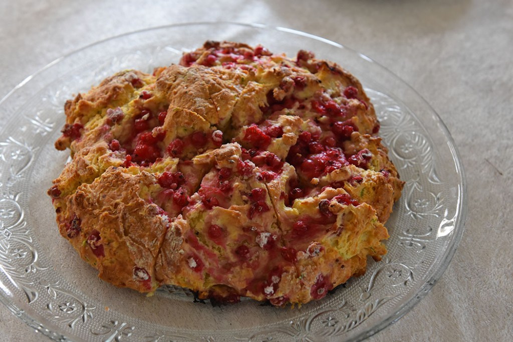 Scones med rips og squash Ingredienser 5 dl Hvetemel 3 ts Bakepulver 1 ts Vaniljesukker 1 dl Sukker 100 g Smør (kaldt) 1 Egg 1 ½ dl Rømme 100 g squash 100 g Rips https://heidisboble.no/ @heidisboble