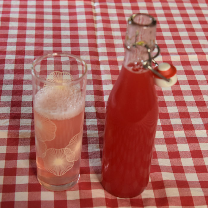 Stikkelsbærsaft Ingredienser: 1 kg Stikkelsbær (godt modne) 1- 2 dl Vann 200- 400 g Sukker (pr. liter saft) 1 krm Natriumbensoat (pr. liter saft - Valgfritt) https://heidisboble.no/ @heidisboble