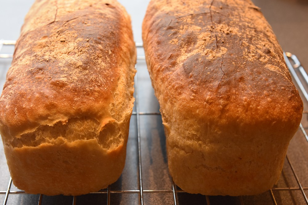 Formloff Ingredienser: Fordeig: 1250 g Hvetemel 9 dl Vann Tilsettes: 30 g Salt 15 g Gjær https://heidisboble.no/ @heidisboble