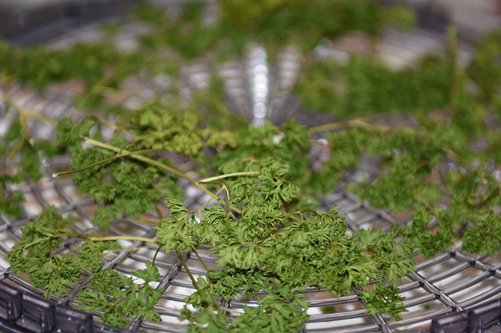 Tørket persille Ved å tørke persillen har jeg persille hele vinteren. Ja, det kommer selvfølgelig an på hvor mye du tørker da, og hvor mye du bruker. Jeg bruker mye persille. I al hvor jeg kan tilsette persille, tilsetter jeg persille. Det er godt i gryteretter, sauser, pastasauser, supper, brød mm. Ja, i det meste – men så er jeg nok mer enn gjennomsnittlig glad i persille da. Jeg bruker å så persille ute i en blomsterkasse på våren, og høste gjennom sommeren. https://heidisboble.no/ @heidisboble