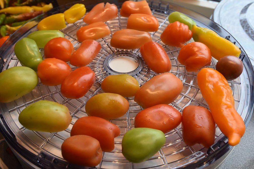 «Soltørkete» tomater Ingredienser Tomater Salt https://heidisboble.no/ @heidisboble