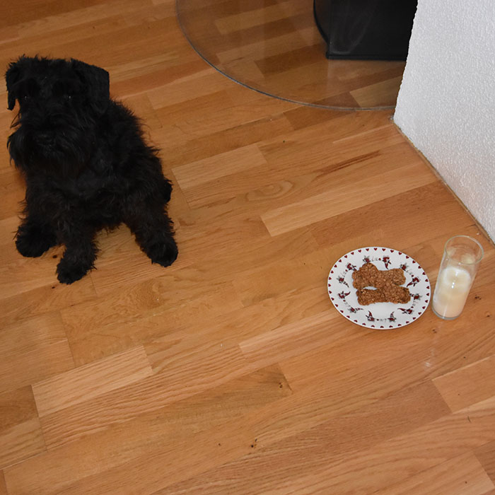 Leverpostei bein (hundekjeks) Ingredienser 1 Egg 300 g Leverpostei 500 g Havregryn (lettkokte) 300 g Cottage cheese 1 dl Olje (raps, soya, solsikke) Potetmel (til utkjevling) Pynt (valgfritt): 1 Eggehvite Hundegodbiter (små, kjøpte) Liver bones (dog treats) Ingredients: 1 Egg 300 g Liver pate 500 g Oatmeal 300 g Cottage cheese 1 dl Oil (rapeseed, soy, sunflower) Potato flour (for rolling) Decorations (optional): 1 Egg white Dog treats (small bought) https://heidisboble.no/ @heidisboble