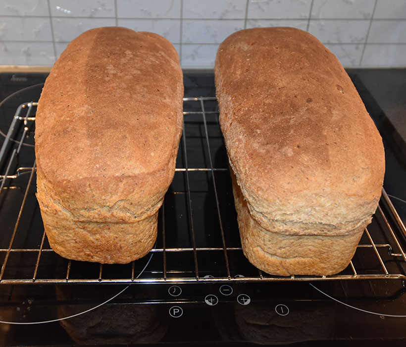 Matpakkebrød (Heidis) Ingredienser: Fordeig: 7 dl Kulturmelk (skummet) 3 dl Vann 300 g Sammalt hvete (grov) 200 g Fullkornshvete 200 g Sammalt rug (grov) 350 Sammalt rug (fin) 30 g Havregryn (lettkokte) 50 g Havrekli Hoveddeig: 3 dl Vann 50 g Gjær (fersk) 400 g Hvetemel 200 g Fullkornshvete 2 ts Salt https://heidisboble.no/ @heidisboble