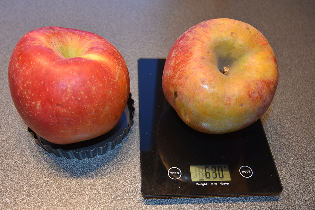 Pomes de can Boix - pomess fuji el marc del 2014 https://heidisboble.no/ @heidisboble