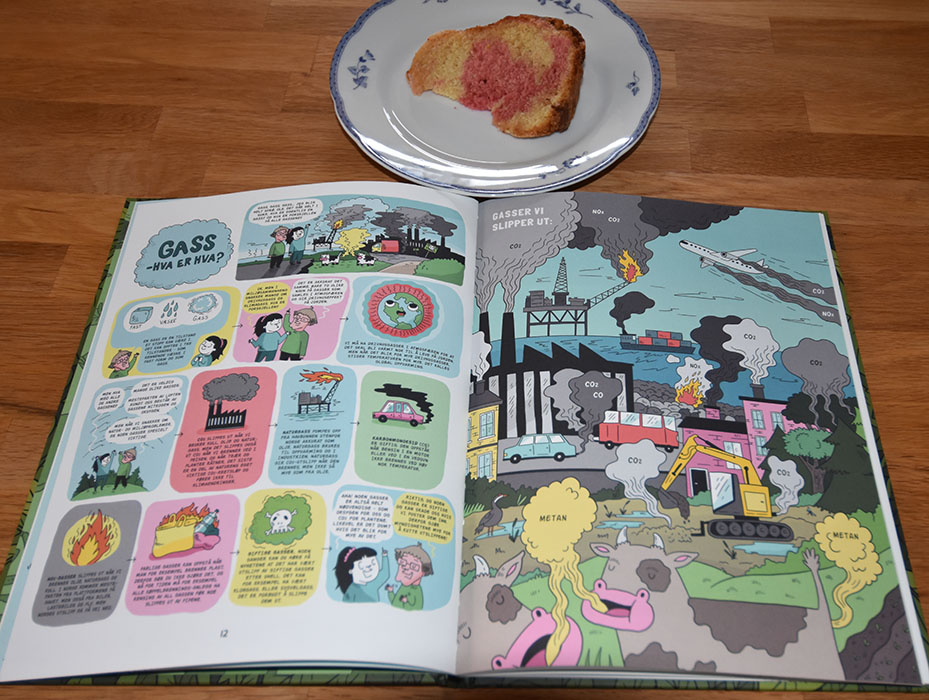 Mathismoen, Ole og Jordahl, Jenny (2022) «20 greier du bør vite om miljøvern», Ena Vigmostad og Bjørke OG Candy- cane formkake Ingredienser 350 g Smør 5 dl Sukker 4 Egg 1 ss vaniljesukker ½ ts Peppermynte ekstrakt (valgfritt) 7 ½ dl Hvetemel 6 ss Maisenna 2 ts Bakepulver 2 ½ dl Melk Konditorfarge (rød) Glasur og pynt: Melis Vann 2 ss Candy canes (knuste) https://heidisboble.no/ @heidisboble