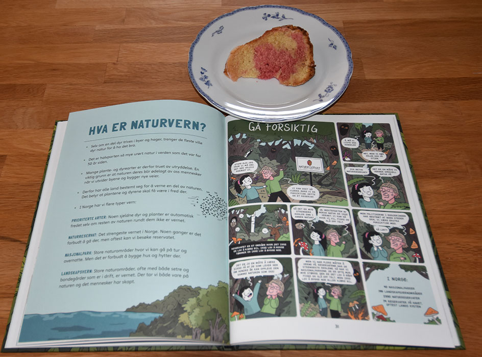 Mathismoen, Ole og Jordahl, Jenny (2022) «20 greier du bør vite om miljøvern», Ena Vigmostad og Bjørke OG Candy- cane formkake Ingredienser 350 g Smør 5 dl Sukker 4 Egg 1 ss vaniljesukker ½ ts Peppermynte ekstrakt (valgfritt) 7 ½ dl Hvetemel 6 ss Maisenna 2 ts Bakepulver 2 ½ dl Melk Konditorfarge (rød) Glasur og pynt: Melis Vann 2 ss Candy canes (knuste) https://heidisboble.no/ @heidisboble