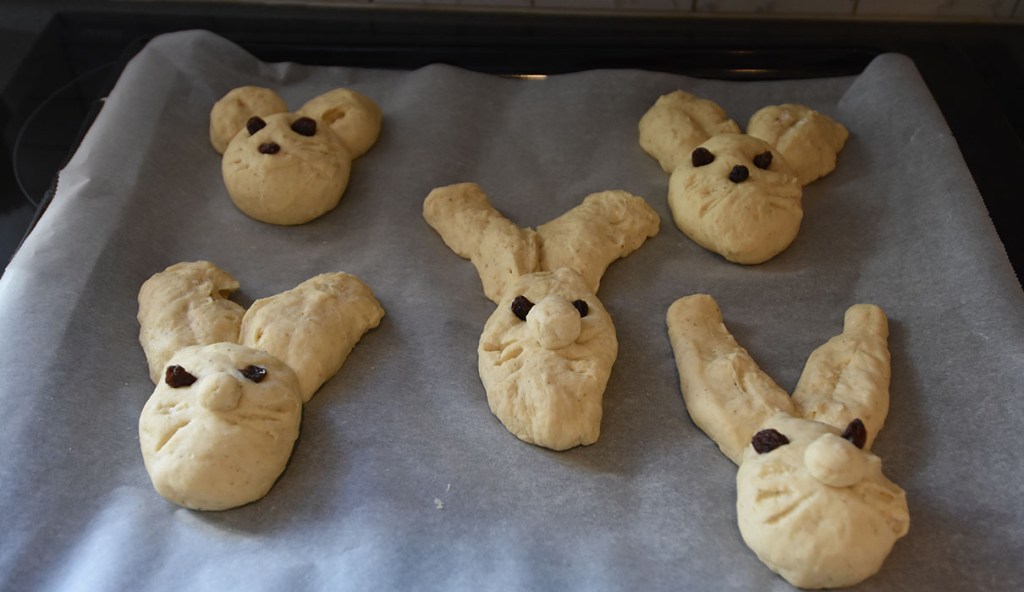 Påskeharer Ingredienser_ 20 g Havregryn 5 ½ dl Vann 1 pakke Gjær 1 dl Olje (raps) 200 g Sukker 5 g Gjær 20 g Kardemomme 1 kg Hvetemel Pynt mm: 1 Egg (sammenvispet) Rosiner https://heidisboble.no/ @heidisboble