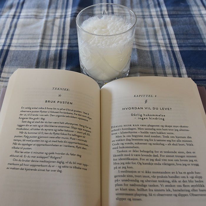 Pettersen, Lisbeth (2022) «Omfavn livet med mindfulness», Olivia OG Lassie – Youghurt drikk Lassi - søt 200 g Yoghurt 2 ½ dl Vann 4 ts Sukker ½ ts Rosevann (valgfritt) https://heidisboble.no/ @heidisboble