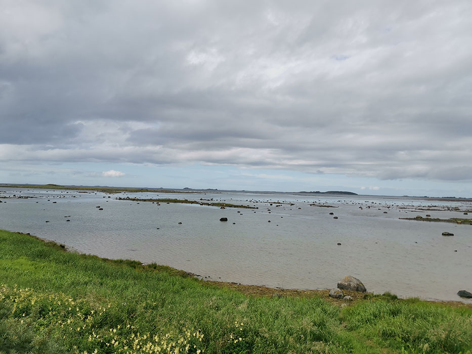 Grandefjæra naturreservat Ørland kommune, Trøndelag https://heidisboble.no/ @heidisboble