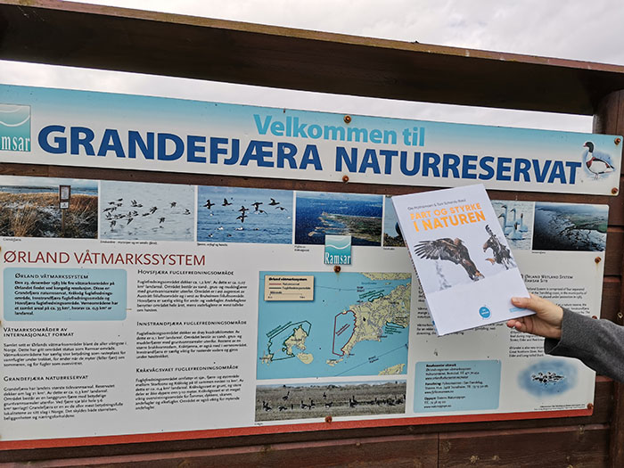 Mathismoen, Ole og Schandy, Tom (2022) «Fart og styrke i naturen», Vigmostad og Bjørke og Grandefjæra naturreservat Ørland kommune, Trøndelag https://heidisboble.no/ @heidisboble