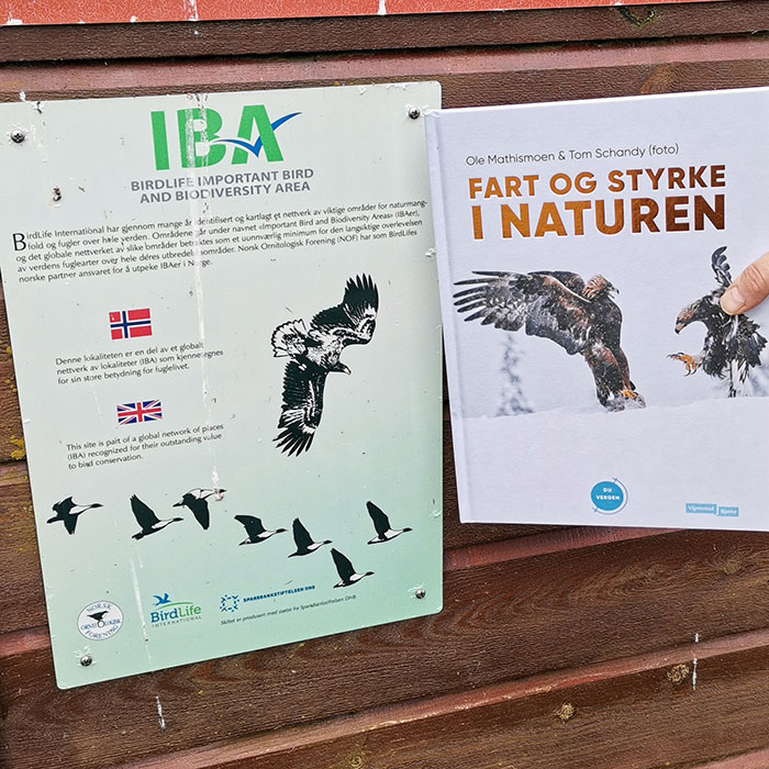 Mathismoen, Ole og Schandy, Tom (2022) «Fart og styrke i naturen», Vigmostad og Bjørke og Grandefjæra naturreservat Ørland kommune, Trøndelag https://heidisboble.no/ @heidisboble