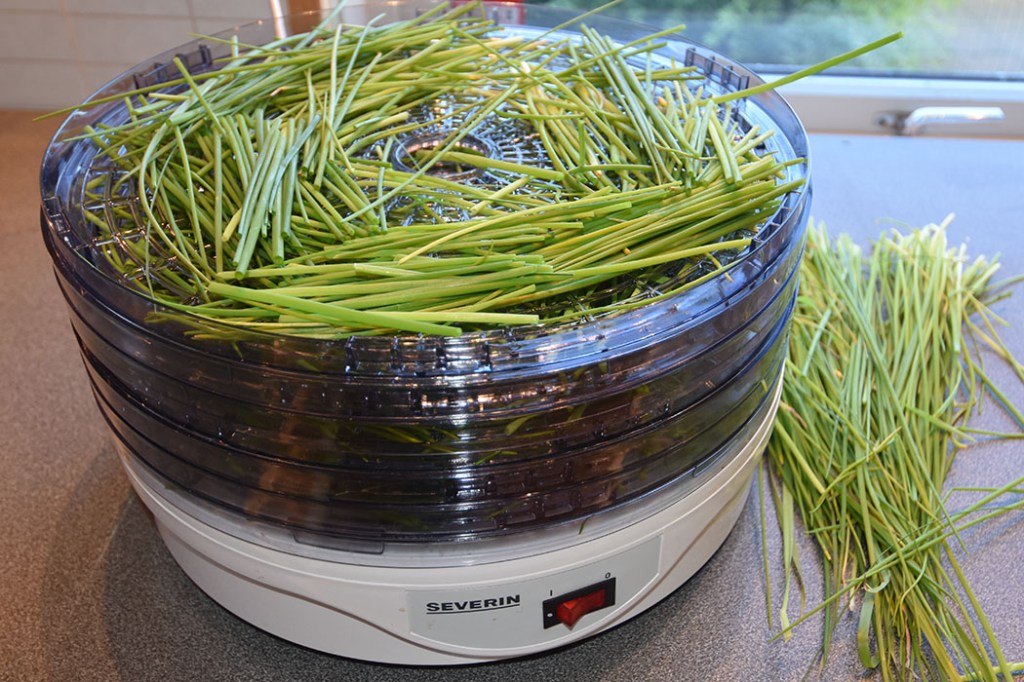 Tørket Gressløk https://heidisboble.no/ @heidisboble