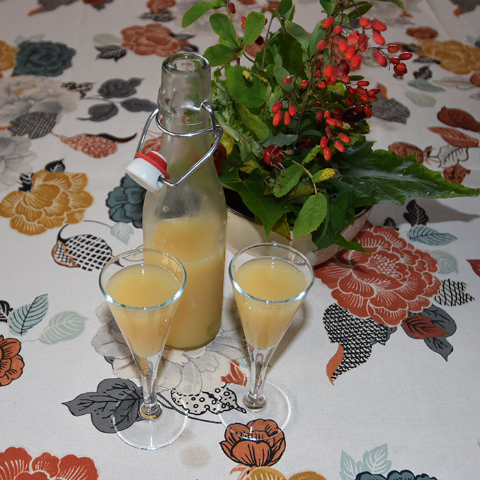 Ingefærshoots med sitron Ingredienser 50 g Ingefær (hakket) 4 dl Vann 1-2 ss Honning ¼ - ½ Sitron (presset) https://heidisboble.no/ @heidisboble