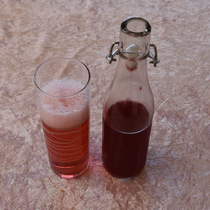 Ripssaft Ingredienser: 1 kg Rips (godt modne) 2 dl Vann 300- 500 g Sukker (pr. liter saft) 1 krm Natriumbensoat (pr. liter saft - Valgfritt) https://heidisboble.no/ @heidisboble