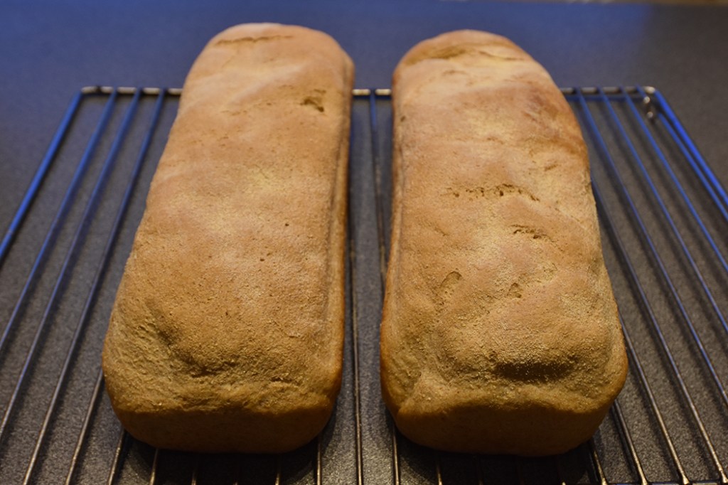 Romansk landbrød Ingredienser ½ pk Gjær (fersk eller tørr) 5 dl Vann (romtemperert) 2 dl Maismel (eller polenta) 10 dl Hvetemel (8 dl + 2 dl sammalthvete fin) 1 ss Sukker 25 g Smør (romtemperert) 2 ts Salt Slik gjør du: 1 Ha vann i en bakebolle - Smuldre i gjæra, og - Rør den ut 2 Tilsett de øvrige ingrediensene, og - Elt godt Ca 10 min i maskin eller dobbelt så lenge for hånd 3 Dekk deigen med et bakeklede, og - La den heve i ca 60 min, eller 10 timer i kjøleskap 4 Smør to brødformer 5 Hell deigen ut på bakebordet - Del den i to - Trykk hver bit til et rektangel - Brett inn sidene og - Trill den sammen som ei pølse - Legg dem i brød formene - Strø over litt mais mel 5 Dekk formen med et bakeklede og - La dem etterheve i ca 60 min 6 Stekes på 200 grader i ca 40-45 min. 7 Hell brødene ut av forma, og - La dem avkjøles på rist https://heidisboble.no/ @heidisboble