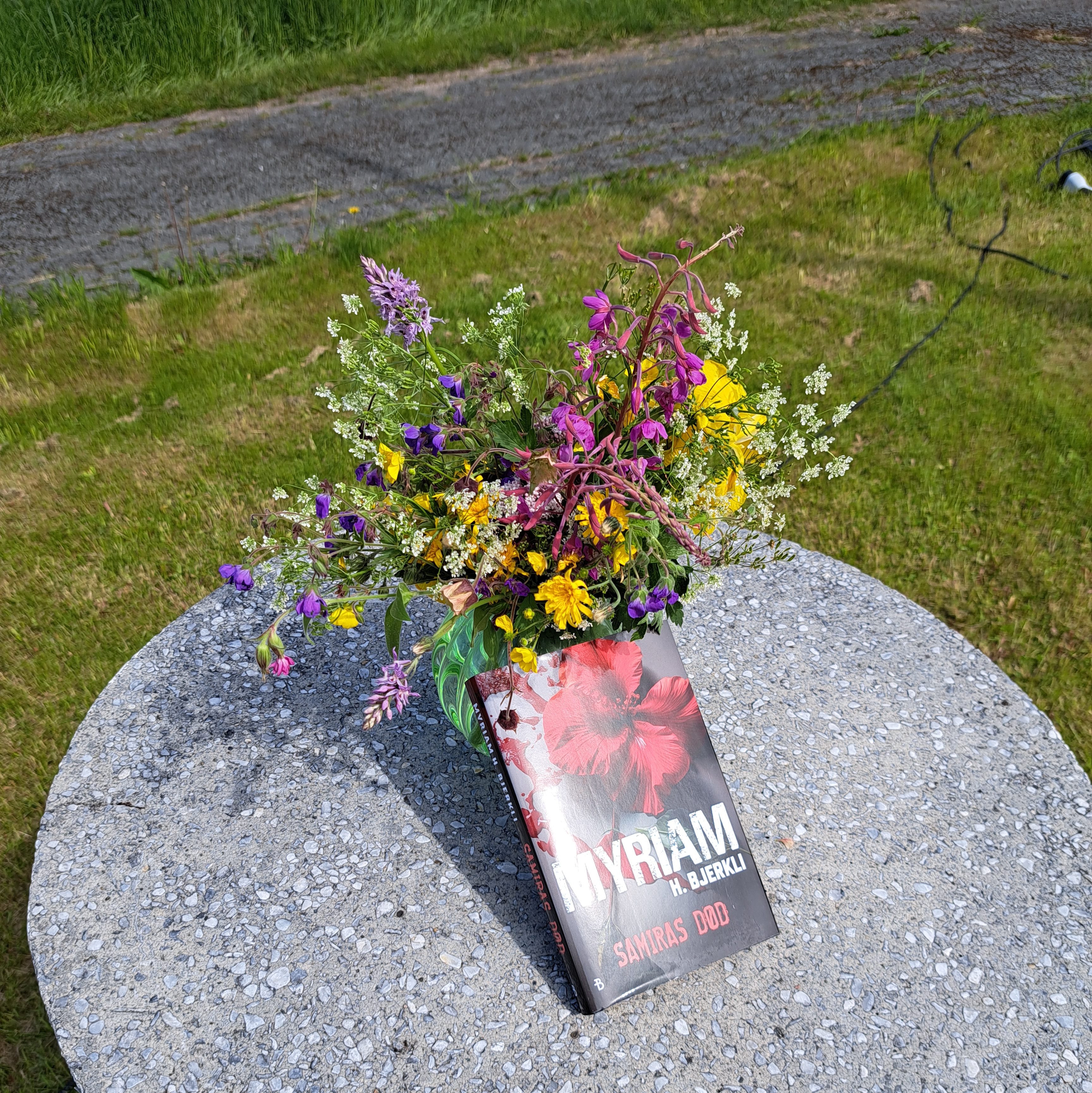 Bjerkli, Myriam, H (2024) «Samiras død», Bonnier Norsk forlag https://heidisboble.no @heidisboble Foto: 20240611