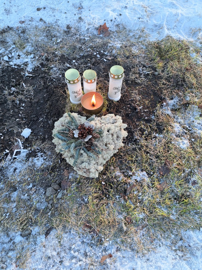 Lademoen kirkegård Bilde tatt 20240206 @heidisboble www.heidisboble.no