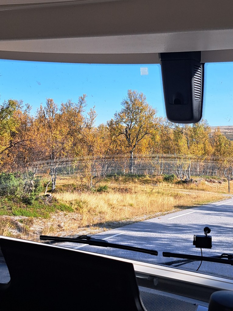 BOBIL Bilde tatt 2024@heidisboble www.heidisboble.no