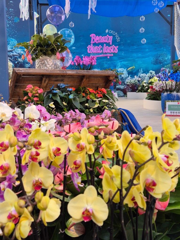 KEUKENHOF BLOMSTERPARK Keukenhof, Stationsweg 166A, 2161 AM Lisse, Nederland bilde tatt 202050413 @heidisboble heidisboble.no